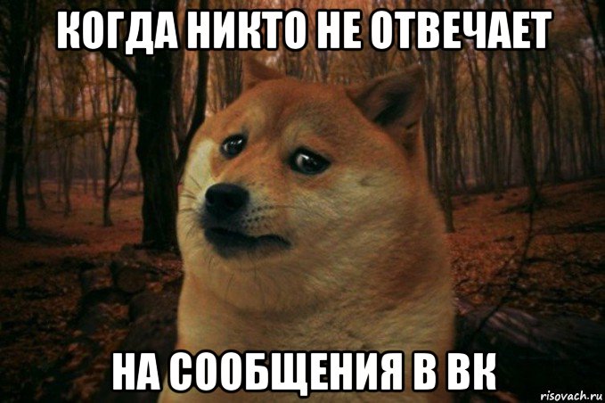 когда никто не отвечает на сообщения в вк, Мем SAD DOGE