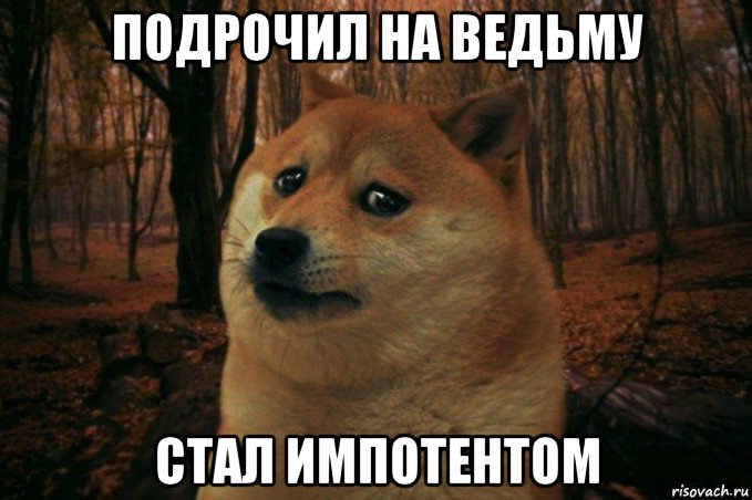 подрочил на ведьму стал импотентом, Мем SAD DOGE