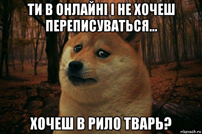 ти в онлайні і не хочеш переписуваться... хочеш в рило тварь?, Мем SAD DOGE