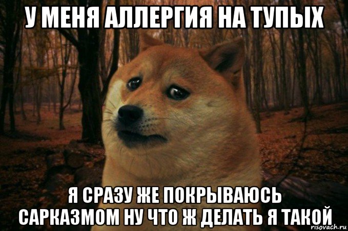 у меня аллергия на тупых я сразу же покрываюсь сарказмом ну что ж делать я такой, Мем SAD DOGE