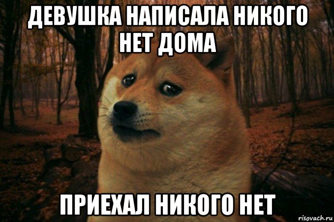 девушка написала никого нет дома приехал никого нет, Мем SAD DOGE