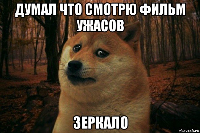 думал что смотрю фильм ужасов зеркало, Мем SAD DOGE