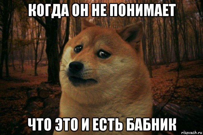 когда он не понимает что это и есть бабник, Мем SAD DOGE