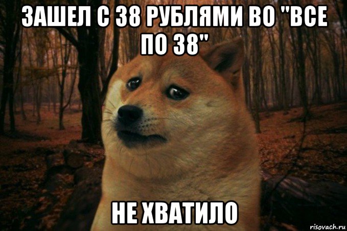 зашел с 38 рублями во "все по 38" не хватило, Мем SAD DOGE