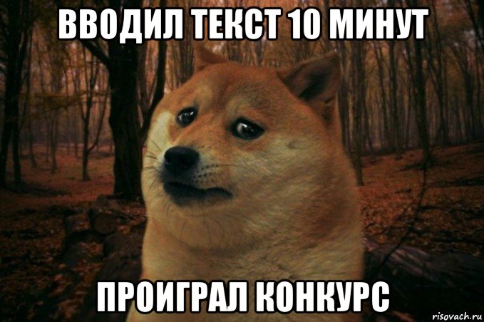 вводил текст 10 минут проиграл конкурс, Мем SAD DOGE