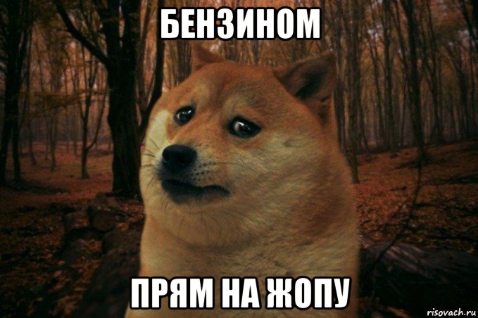 бензином прям на жопу, Мем SAD DOGE