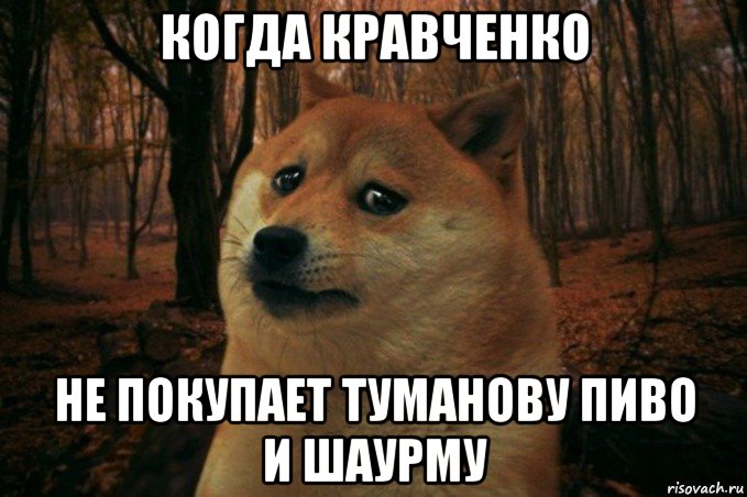 когда кравченко не покупает туманову пиво и шаурму, Мем SAD DOGE