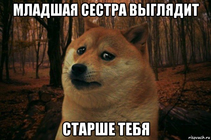 младшая сестра выглядит старше тебя, Мем SAD DOGE