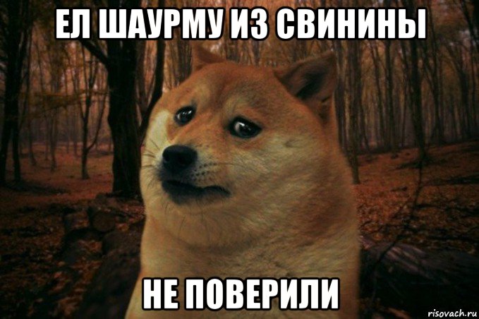 ел шаурму из свинины не поверили, Мем SAD DOGE