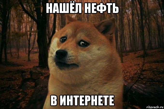 нашёл нефть в интернете, Мем SAD DOGE