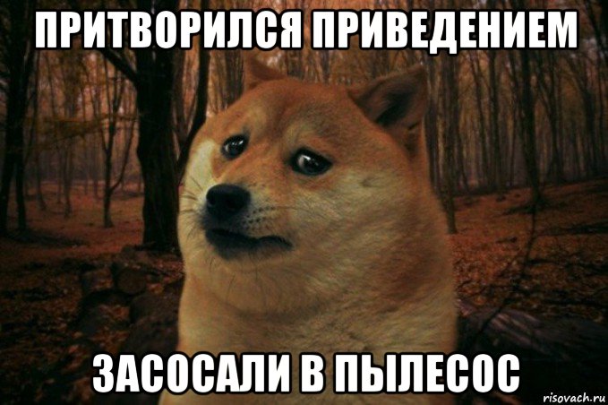 притворился приведением засосали в пылесос, Мем SAD DOGE