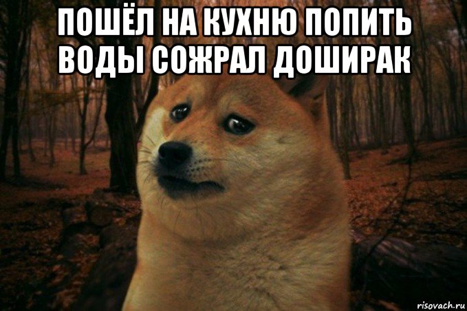 пошёл на кухню попить воды сожрал доширак , Мем SAD DOGE