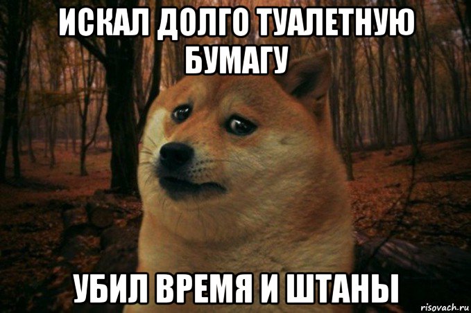 искал долго туалетную бумагу убил время и штаны, Мем SAD DOGE