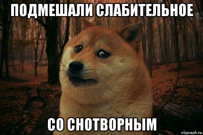 подмешали слабительное со снотворным, Мем SAD DOGE