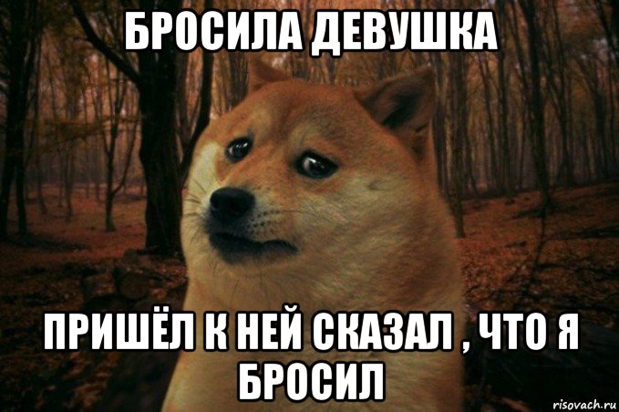 бросила девушка пришёл к ней сказал , что я бросил, Мем SAD DOGE