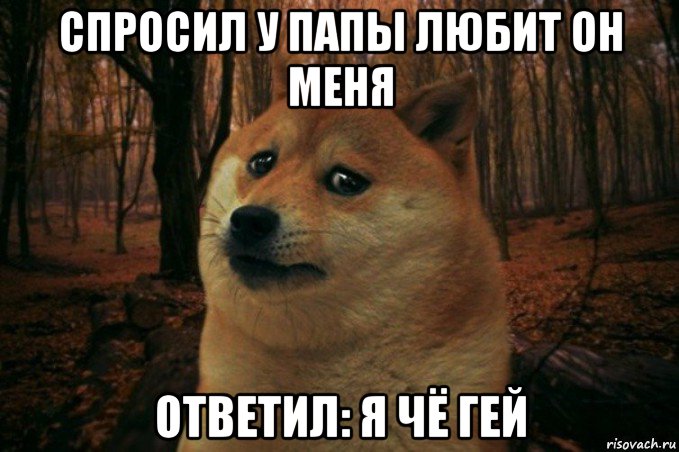 спросил у папы любит он меня ответил: я чё гей, Мем SAD DOGE