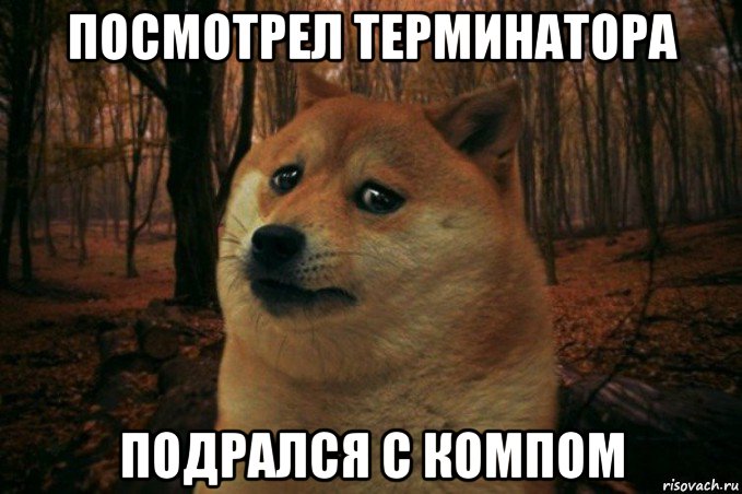 посмотрел терминатора подрался с компом, Мем SAD DOGE