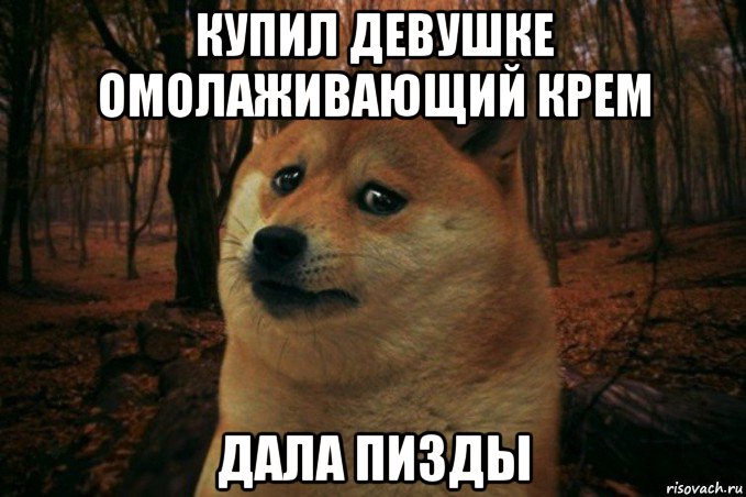 купил девушке омолаживающий крем дала пизды, Мем SAD DOGE