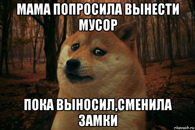 мама попросила вынести мусор пока выносил,сменила замки, Мем SAD DOGE