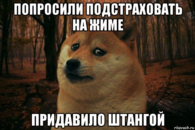 попросили подстраховать на жиме придавило штангой, Мем SAD DOGE