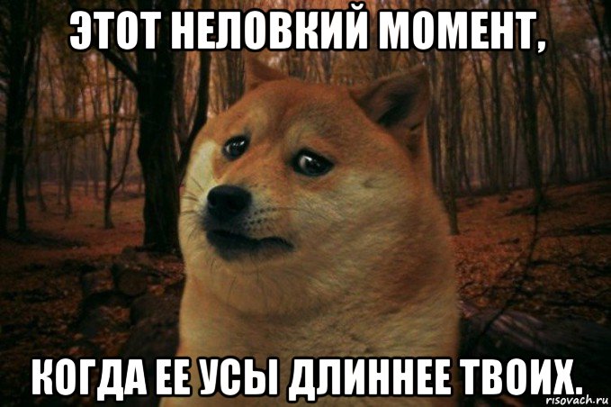 этот неловкий момент, когда ее усы длиннее твоих., Мем SAD DOGE