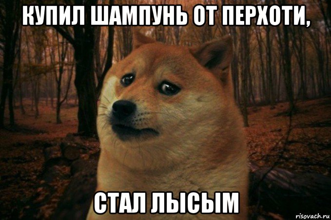 купил шампунь от перхоти, стал лысым, Мем SAD DOGE