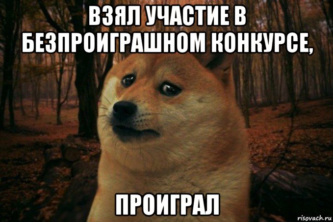 взял участие в безпроиграшном конкурсе, проиграл, Мем SAD DOGE