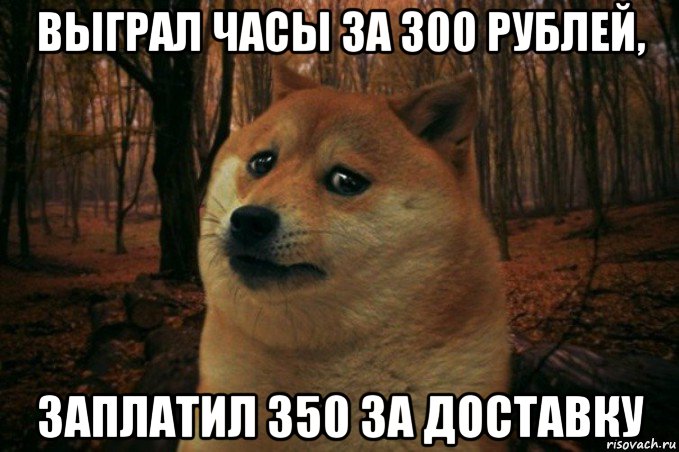 выграл часы за 300 рублей, заплатил 350 за доставку, Мем SAD DOGE