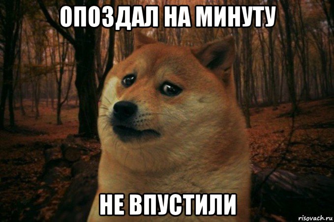 опоздал на минуту не впустили, Мем SAD DOGE