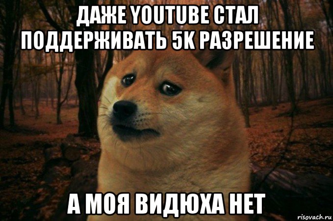 даже youtube стал поддерживать 5k разрешение а моя видюха нет, Мем SAD DOGE