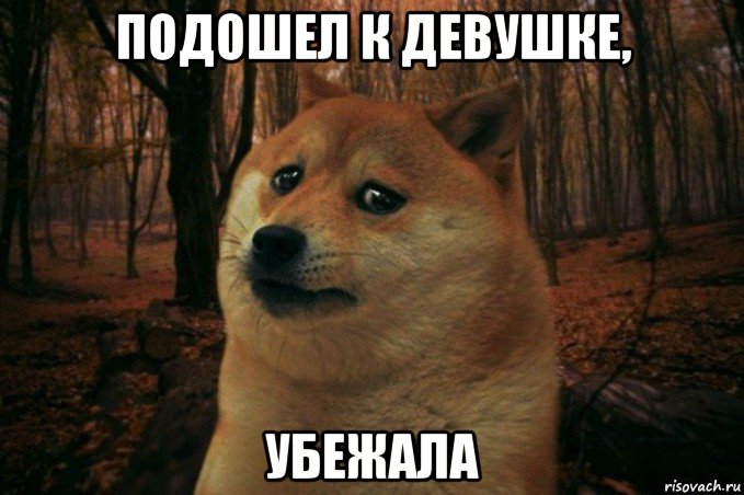 подошел к девушке, убежала, Мем SAD DOGE