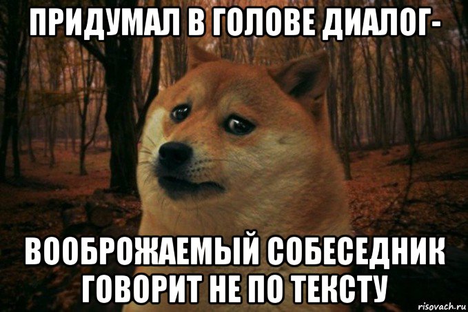 придумал в голове диалог- вооброжаемый собеседник говорит не по тексту, Мем SAD DOGE