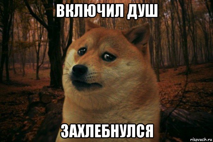 включил душ захлебнулся, Мем SAD DOGE