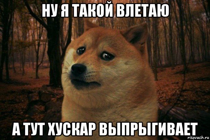 ну я такой влетаю а тут хускар выпрыгивает, Мем SAD DOGE