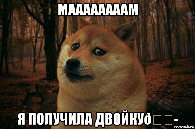 Мем SAD DOGE