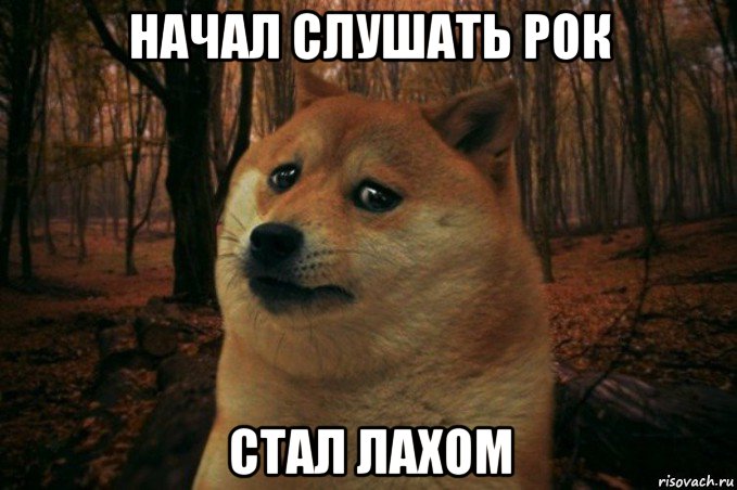 начал слушать рок стал лахом, Мем SAD DOGE