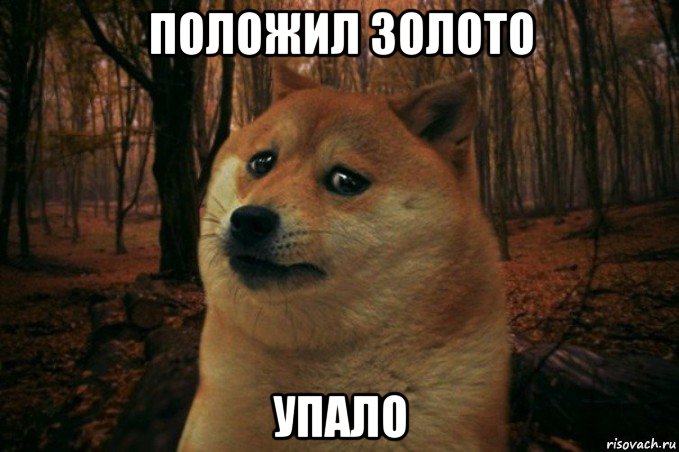 положил золото упало, Мем SAD DOGE