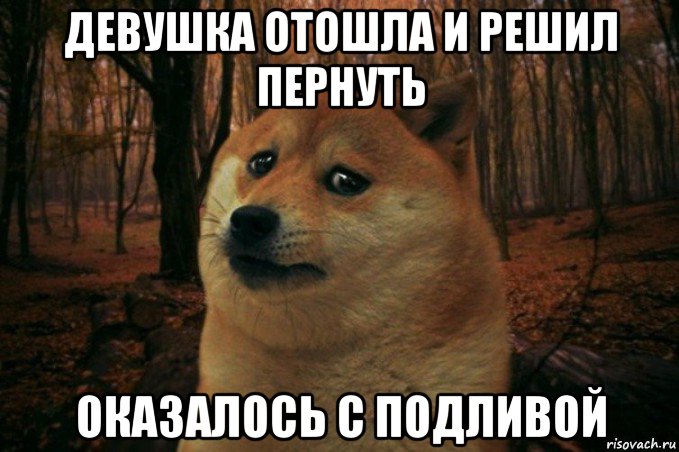 девушка отошла и решил пернуть оказалось с подливой, Мем SAD DOGE