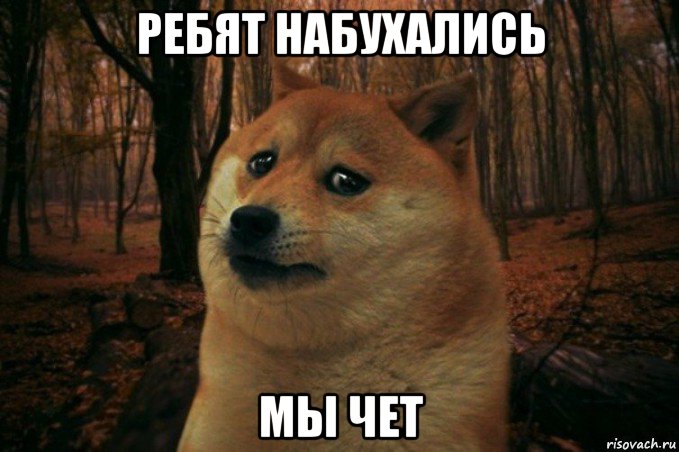 ребят набухались мы чет, Мем SAD DOGE