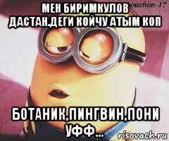 мен биримкулов дастан.деги койчу атым коп ботаник,пингвин,пони уфф..., Мем   Какой миньон