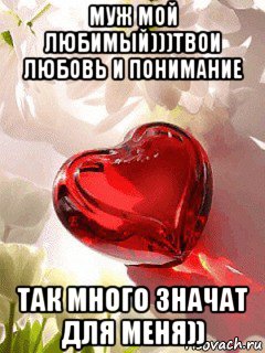 муж мой любимый)))твои любовь и понимание так много значат для меня))
