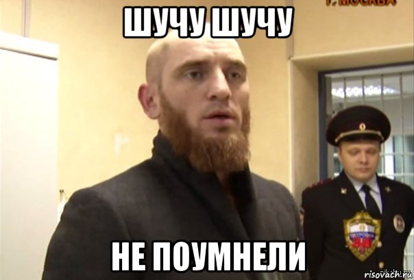 шучу шучу не поумнели, Мем Шучу