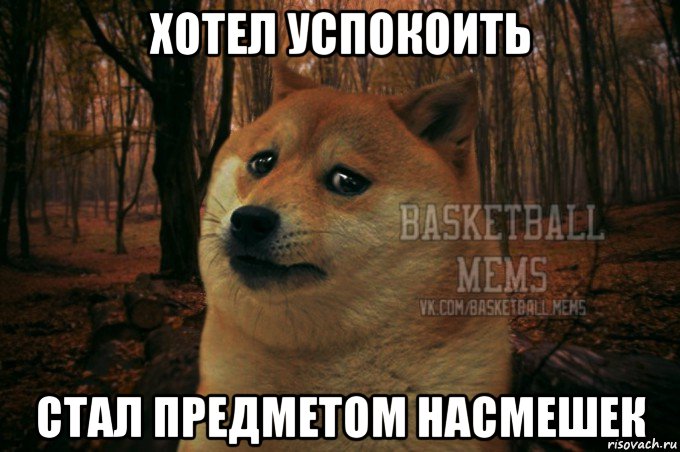 хотел успокоить стал предметом насмешек