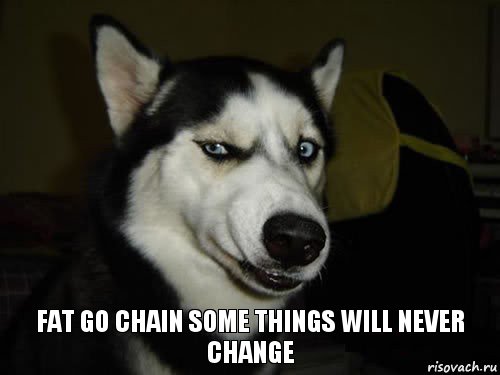 Fat go chain Some things Will never change, Комикс  Собака подозревака