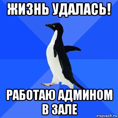 жизнь удалась! работаю админом в зале, Мем  Социально-неуклюжий пингвин