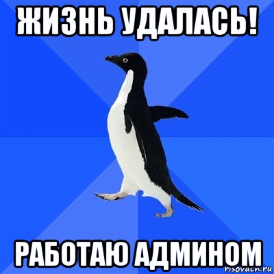 жизнь удалась! работаю админом, Мем  Социально-неуклюжий пингвин