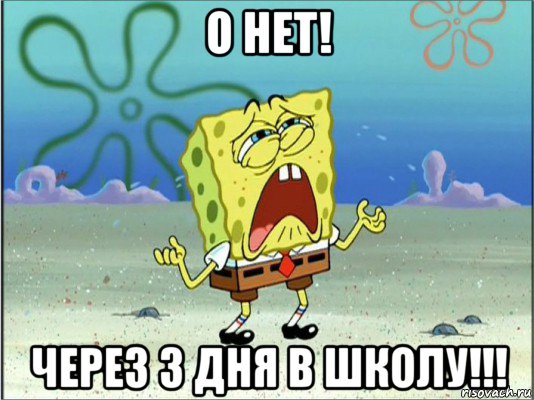 о нет! через 3 дня в школу!!!