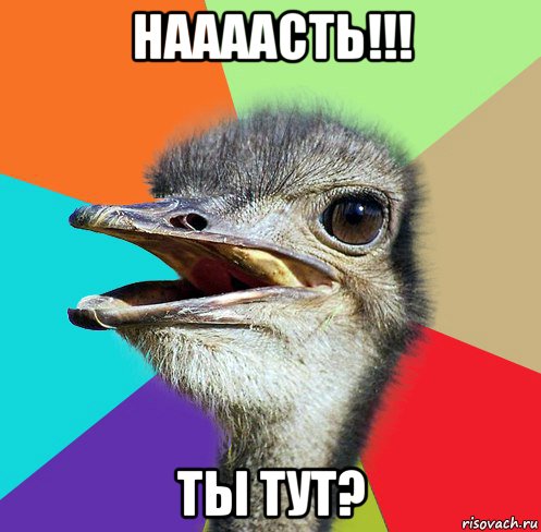 наааасть!!! ты тут?