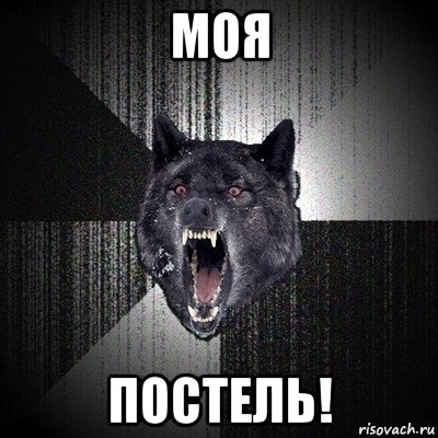 моя постель!, Мем Сумасшедший волк