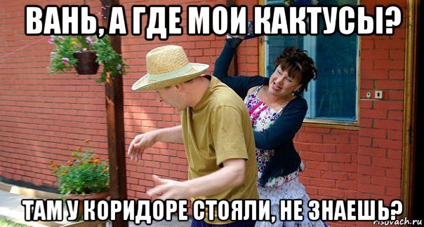 вань, а где мои кактусы? там у коридоре стояли, не знаешь?